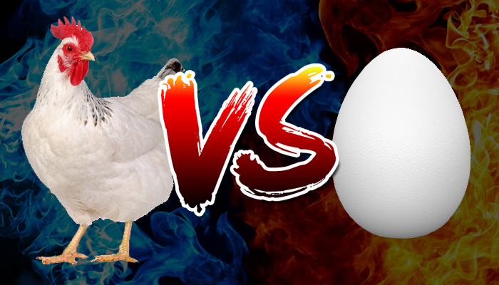 Chicken vs Egg