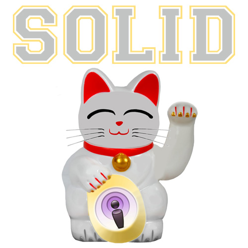 Solid Cat
